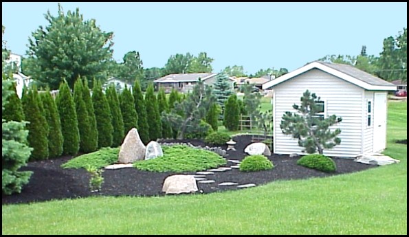 The beginnings of my Japanese Garden